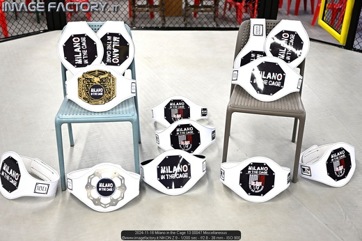 2024-11-16 Milano in the Cage 13 00047 Miscellaneous